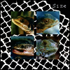 Size - Nadie Puede Vivir Con Un Monstruo (Limited Edition)(White LP)