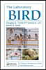 Laboratory Bird