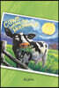 Cows Before the Moonwalk