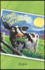 Cows Before the Moonwalk