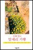 김화영의 알제리 기행