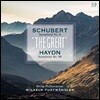Wilhelm Furtwangler 슈베르트: 교향곡 9번 / 하이든: 교향곡 88번 (Schubert: Symphony No. 9 / Haydn: Symphony No. 88) 빌헬름 푸르트벵글러 [2LP]