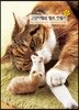 고양이털로 펠트 만들기 2