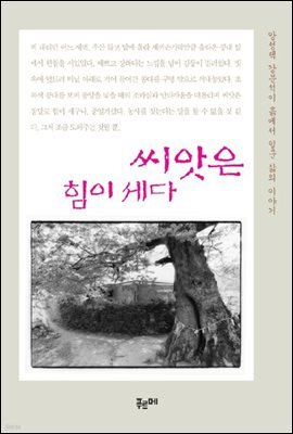 씨앗은 힘이 세다