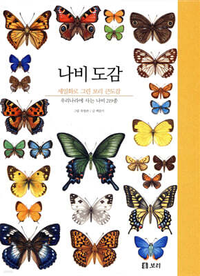 나비 도감