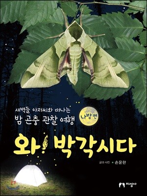 와! 박각시다