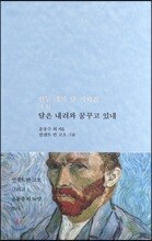 달은 내려와 꿈꾸고 있네