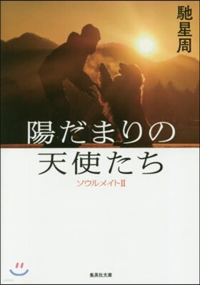 ソウルメイト(2)陽だまりの天使たち