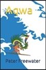 Aqwa: A Cosmic Surf Odyssey