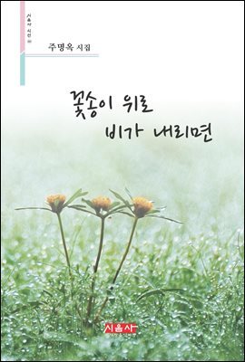 꽃송이 위로 비가 내리면 - 시음사 시선 202
