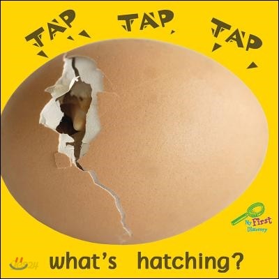 Tap, Tap, Tap, What&#39;s Hatching?