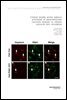 Central insulin action induces activation of paraventricular oxytocin neurons to release oxytocin into circulation