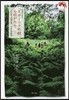 北海道小淸水「オホ-ツクの村」ものがたり