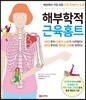 해부학적 근육홈트