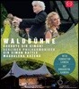 Simon Rattle 2018년 베를린 필 발트뷔네 콘서트 (Waldbuhne 2018 - Goodbye Sir Simon!)