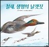 철새, 생명의 날갯짓