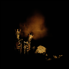 Pearl Jam - Riot Act (2LP)