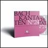 바흐: 칸타타 24집 - BWV. 97 & 127 & 156 (Bach: Kantaten No.24)