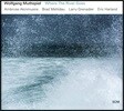 Wolfgang Muthspiel (볼프강 무스필) - Where The River Goes