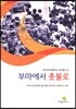 부마에서 촛불로