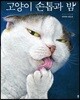 고양이 손톱과 밤