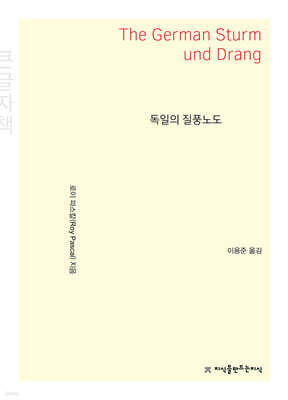 독일의 질풍노도 (큰글자책)