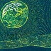 Superorganism (슈퍼올가니즘) - Superorganism