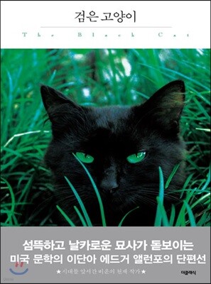 검은 고양이