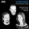 Christian Tetzlaff / Tanja Tetzlaff 드보르작 피아노 3중주곡 3 & 4번 ‘둠키' (Dvorak: Piano Trios Nos. 3 & 4) 크리스티안 테츨라프 / 탄야 테츨라프