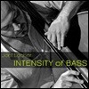 Joel Locher (조엘 로처) - Intensity of Bass