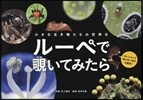 小さな生き物たちの世界をル-ペでのぞきいてみたら