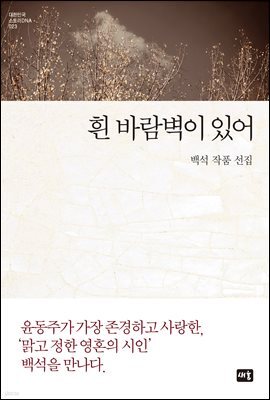 흰 바람벽이 있어