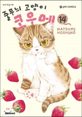 줄무늬 고양이 코우메 14