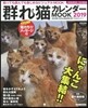 群れ猫カレンダ-MOOK 2019