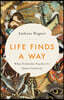 Life Finds a Way: What Evolution Teaches Us about Creativity