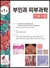 부인과 피부과학 진료지침