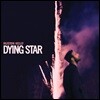 Ruston Kelly (러스톤 켈리) - Dying Star [2LP]