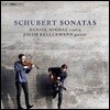 Daniel Migdal / Jacob Kellermann 슈베르트: 바이올린과 기타를 위한 소나타 (Franz Schubert: Sonatas on Violin and Guitar)