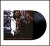 Lenny Kravitz (레니 크라비츠) - Are You Gonna Go My Way [2LP]