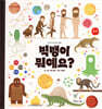 빅뱅이 뭐예요?