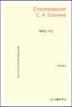 예세닌 시선