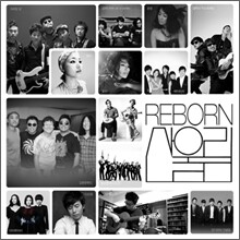 Reborn 산울림