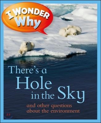 I Wonder Why There&#39;s a Hole in the Sky: And Other Questions about the Environment