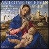 The Brabant Ensemble 페뱅: 미사 아베 마리아, 미사 살베 상크타 파렌스 (Fevin: Missa Ave Maria & Missa Salve sancta parens)