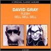 David Gray - Classic Albums: Flesh + Sell, Sell, Sell