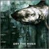 Dry The River - Shallow Bed