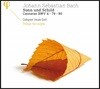 Philippe Herreweghe 바흐: 칸타타 '태양과 방패되신 주님' (Bach: Sonn und Schild - Cantatas BWV 4, 79, 80)