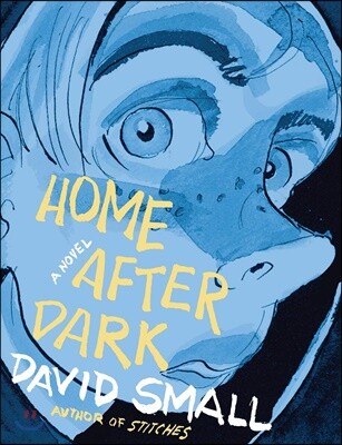 Home After Dark