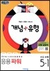 개념+유형 응용파워 초등수학 5-1 (2019년)
