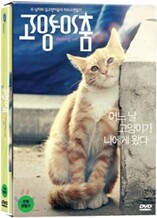 고양이 춤